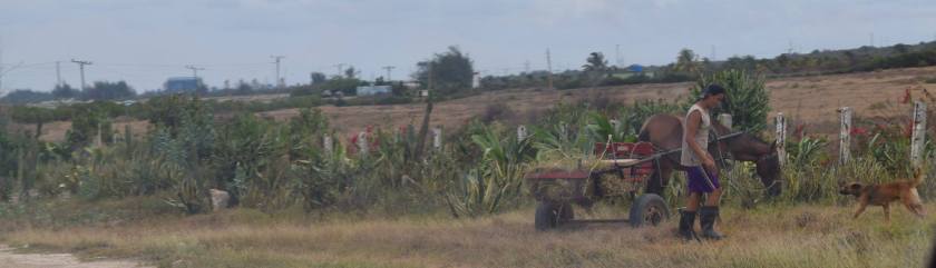 13217625_467057656837565_2089349087458645221_o